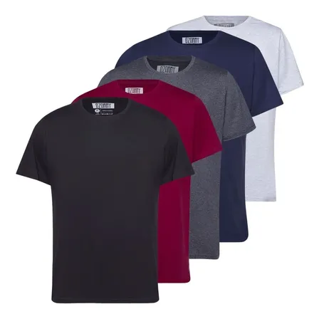 Kit 5 Camiseta Masculina 100% Algodão  Basica Treino Esporte